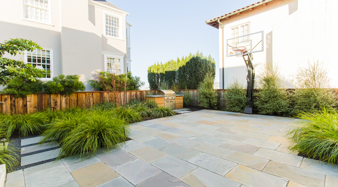paved back yard with native plants, BBQ and basketball hoop visible in background.